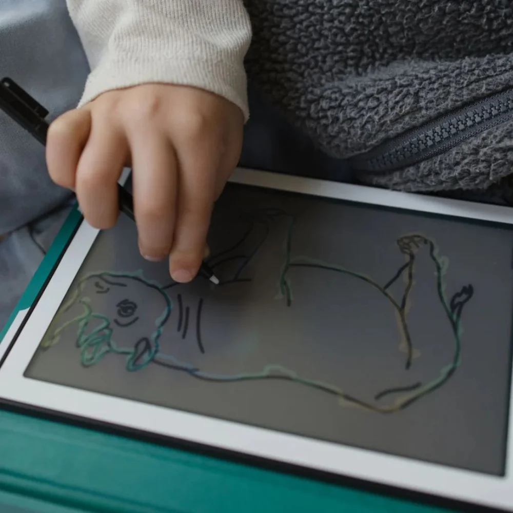 Kidywolf Tablet Ζωγραφικής με Οθόνη LCD Animals Around The World (30 κάρτες) - 7