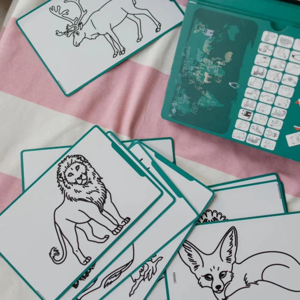 Kidywolf Tablet Ζωγραφικής με Οθόνη LCD Animals Around The World (30 κάρτες) - 8