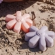 Little Dutch Σετ Παραλίας 3 τεμαχίων Dreamy Mermaid - 6