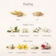 Olive Spa Γυναικείο Άρωμα Unique Healing 25ml - 2