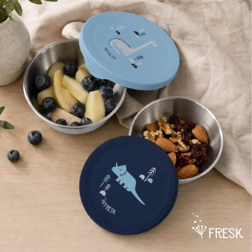 Fresk Σετ 2 Δοχεία Φαγητού με Καπάκι Σιλικόνης Dino